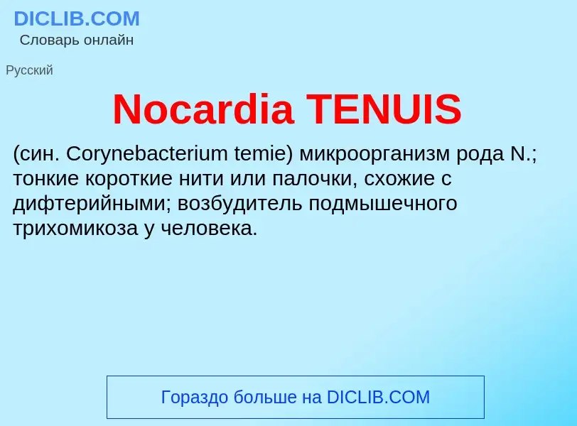 What is Nocardia TENUIS  - meaning and definition