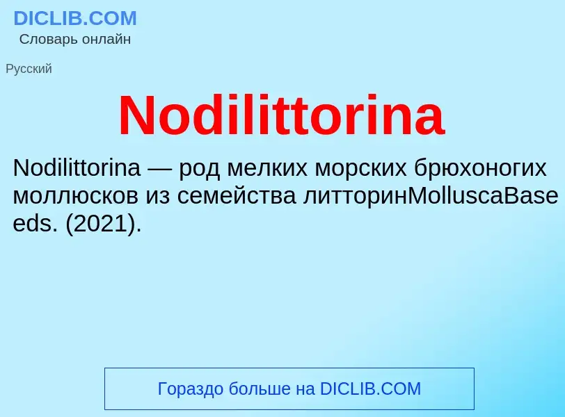 What is Nodilittorina - meaning and definition