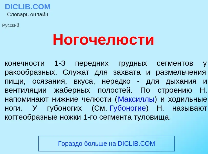 Che cos'è Ногоч<font color="red">е</font>люсти - definizione