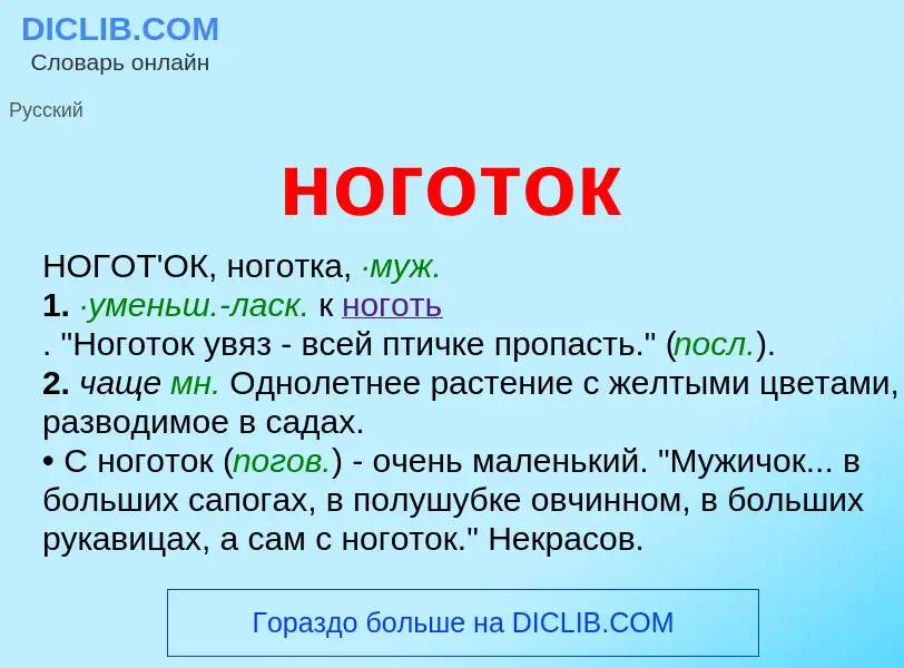 Что такое ноготок - определение