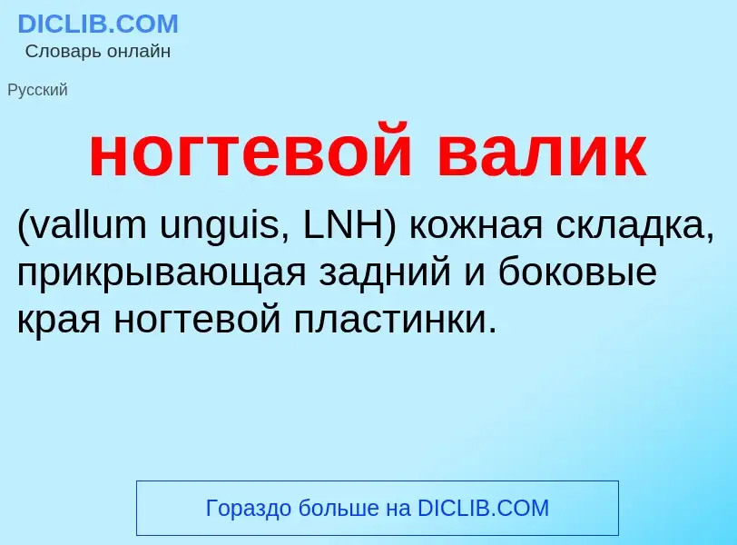 Что такое ногтевой валик  - определение