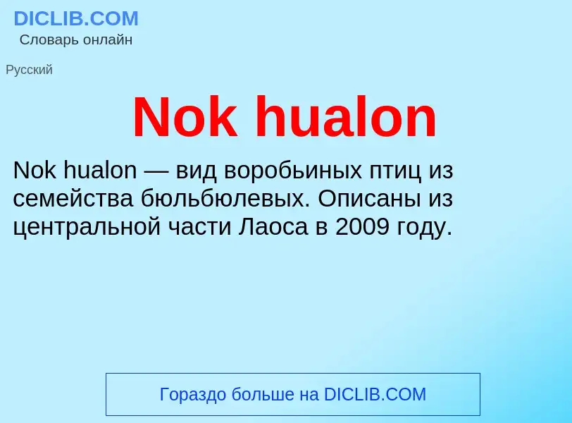 What is Nok hualon - meaning and definition