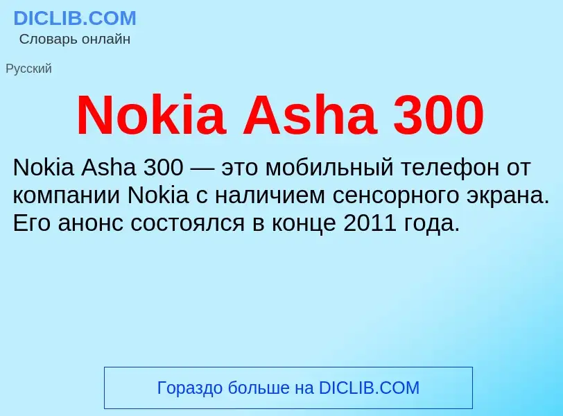 What is Nokia Asha 300 - meaning and definition