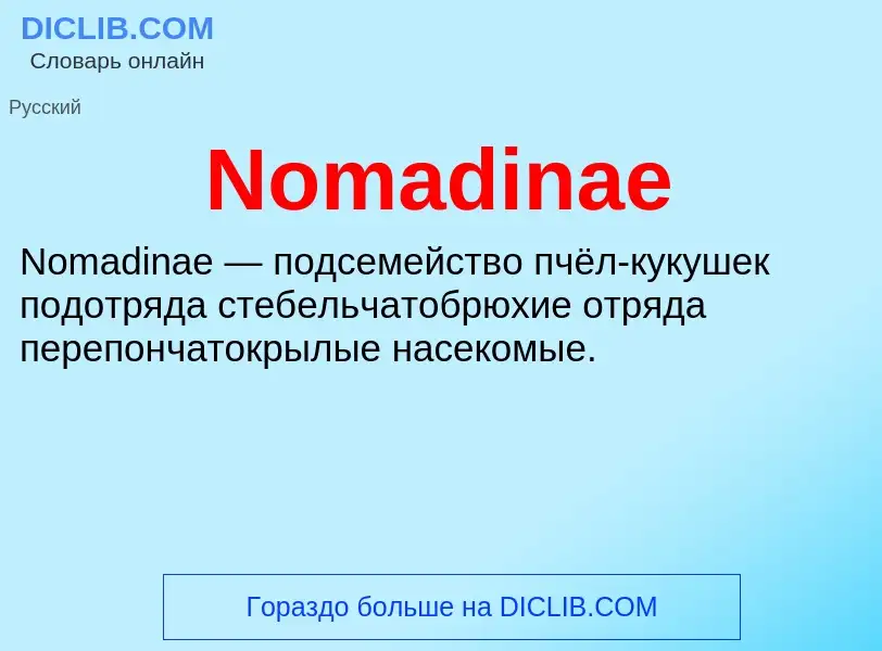 Was ist Nomadinae - Definition