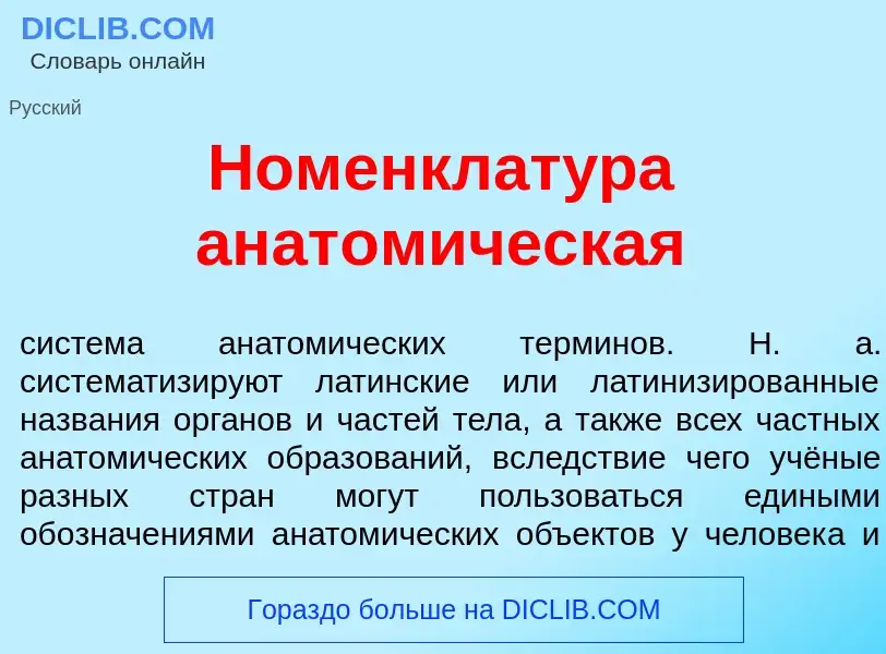 Что такое Номенклат<font color="red">у</font>ра анатом<font color="red">и</font>ческая - определение