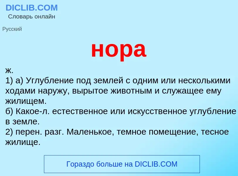 Что такое нора - определение