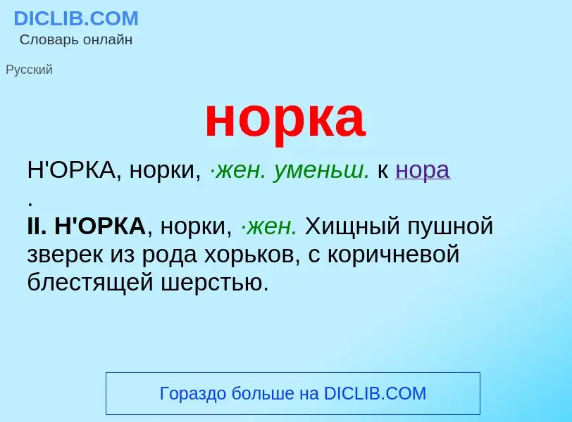 Что такое норка - определение