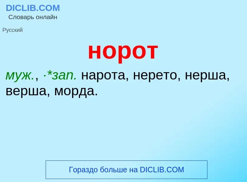 Что такое норот - определение