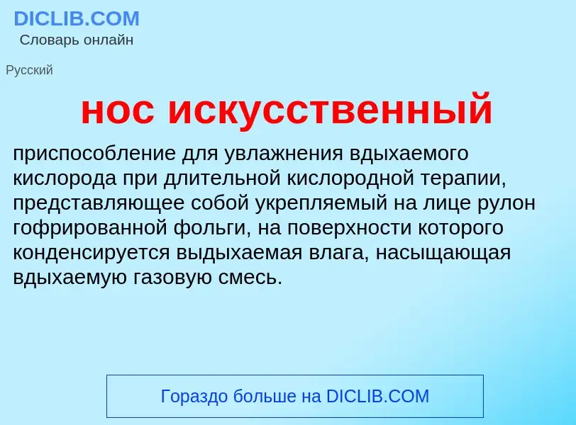 Что такое нос искусственный - определение