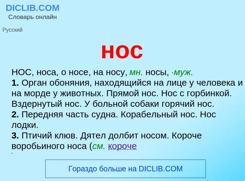 What is нос - definition