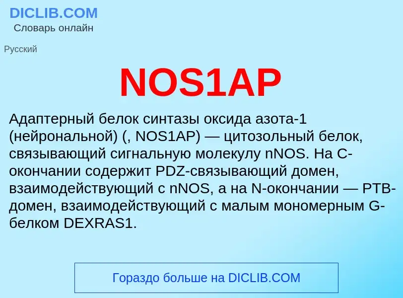 Что такое NOS1AP - определение