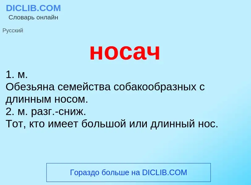 ¿Qué es носач? - significado y definición