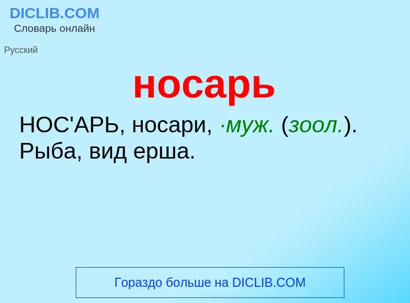 ¿Qué es носарь? - significado y definición