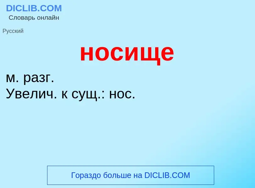 ¿Qué es носище? - significado y definición