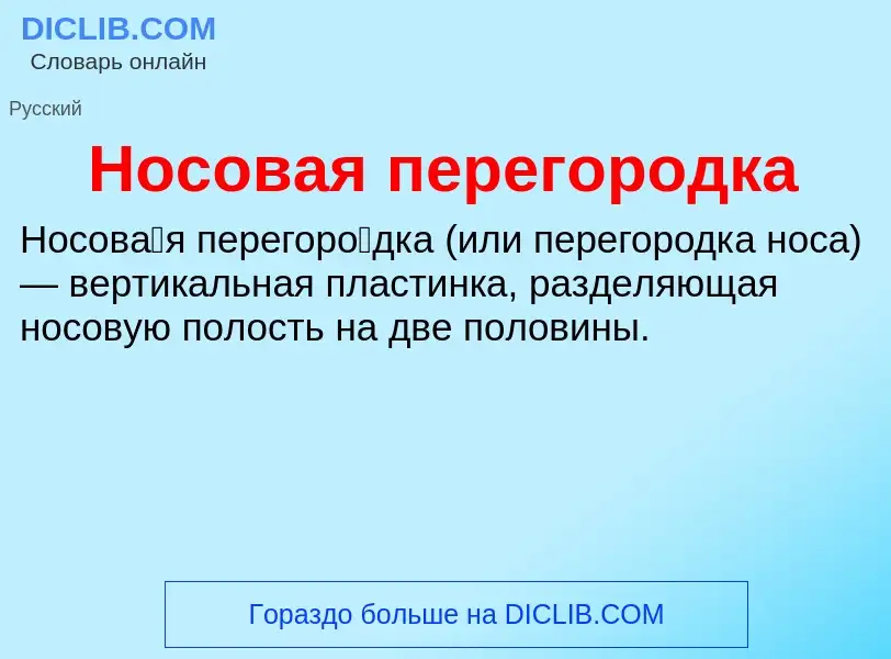 ¿Qué es Носовая перегородка? - significado y definición