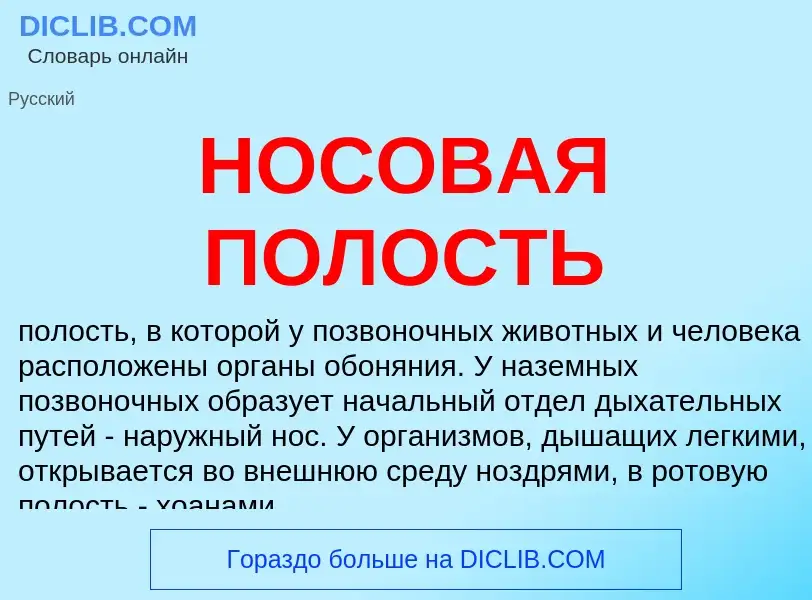 Was ist НОСОВАЯ ПОЛОСТЬ - Definition