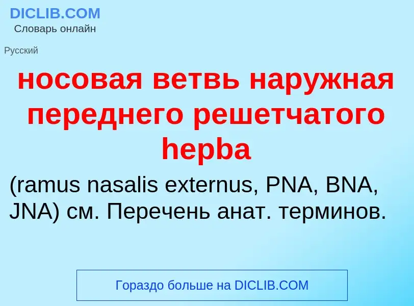 ¿Qué es носовая ветвь наружная переднего решетчатого hepba ? - significado y definición