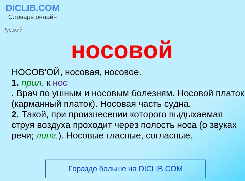 What is носовой - definition