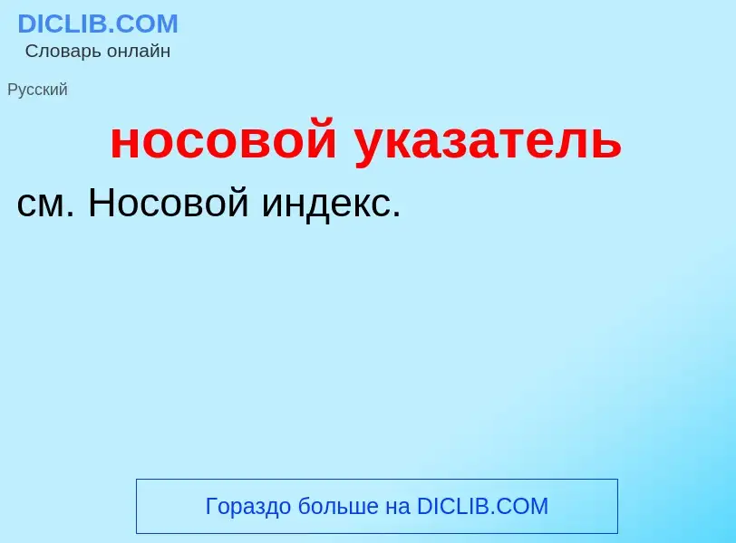 ¿Qué es носовой указатель? - significado y definición