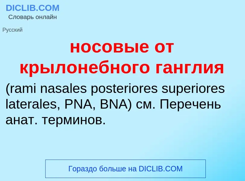 Что такое носовые от крылонебного ганглия  - определение