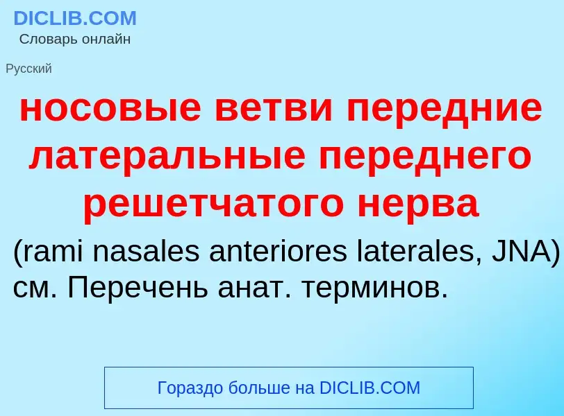 ¿Qué es носовые ветви передние латеральные переднего решетчатого нерва ? - significado y definición