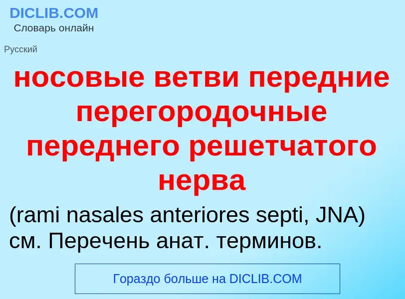 Что такое носовые ветви передние перегородочные переднего решетчатого нерва  - определение