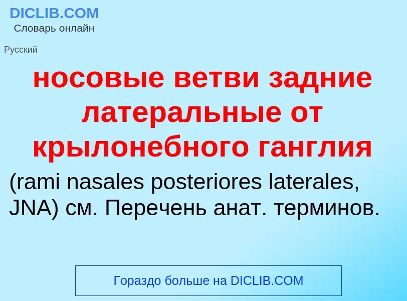 ¿Qué es носовые ветви задние латеральные от крылонебного ганглия ? - significado y definición