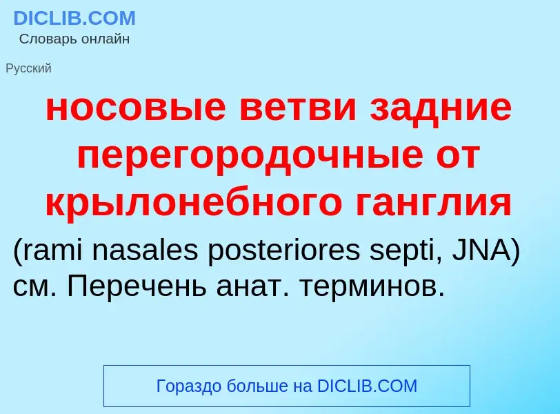 Что такое носовые ветви задние перегородочные от крылонебного ганглия  - определение