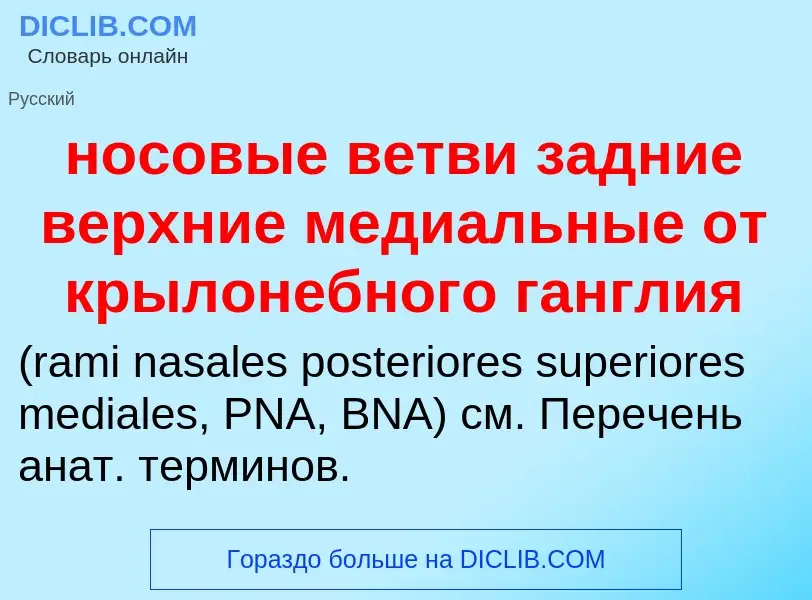 Что такое носовые ветви задние верхние медиальные от крылонебного ганглия  - определение