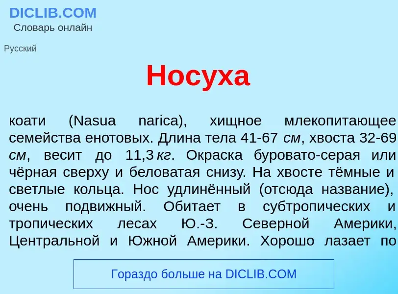 Wat is Нос<font color="red">у</font>ха - definition