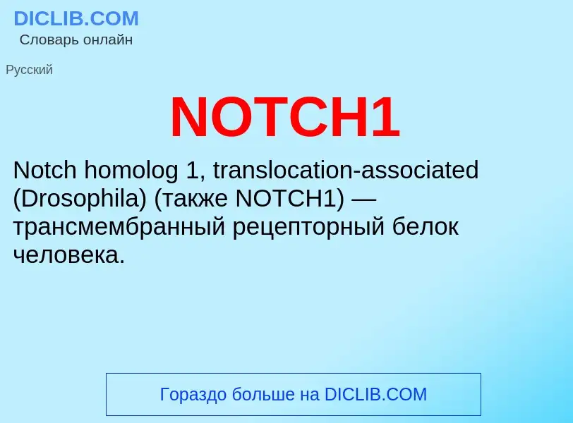 Что такое NOTCH1 - определение