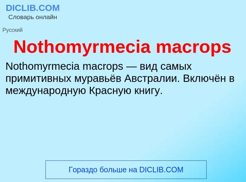 Τι είναι Nothomyrmecia macrops - ορισμός