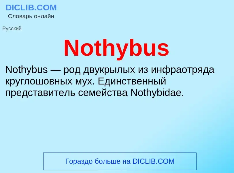 Was ist Nothybus - Definition