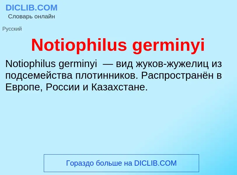 Was ist Notiophilus germinyi - Definition