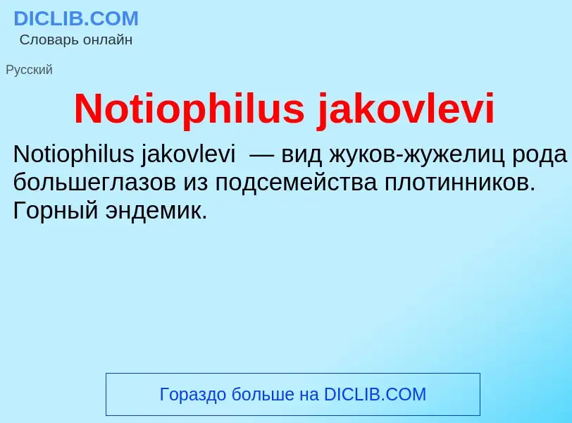 Τι είναι Notiophilus jakovlevi - ορισμός