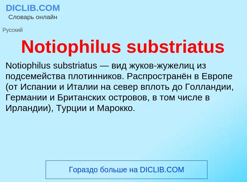 Τι είναι Notiophilus substriatus - ορισμός