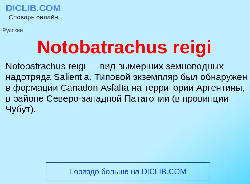 Was ist Notobatrachus reigi - Definition