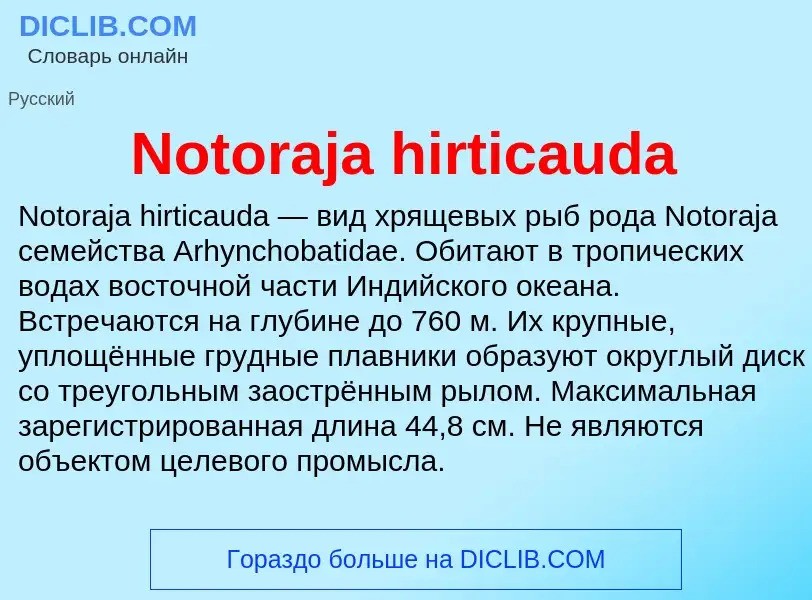 Was ist Notoraja hirticauda - Definition