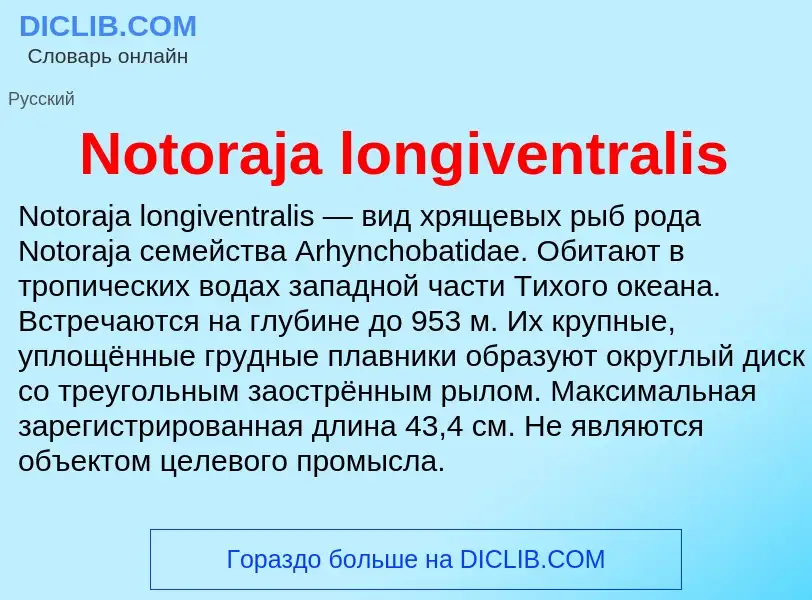 Τι είναι Notoraja longiventralis - ορισμός