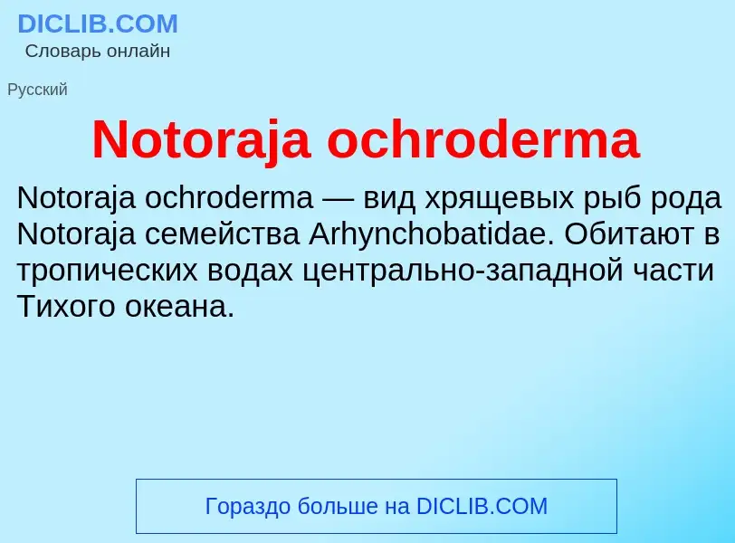 Τι είναι Notoraja ochroderma - ορισμός