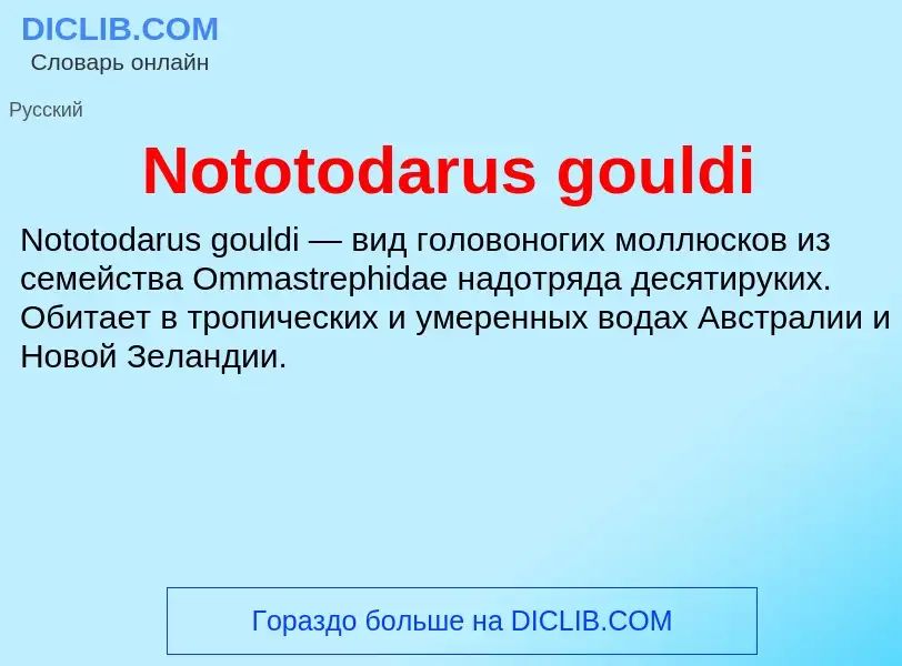 Τι είναι Nototodarus gouldi - ορισμός