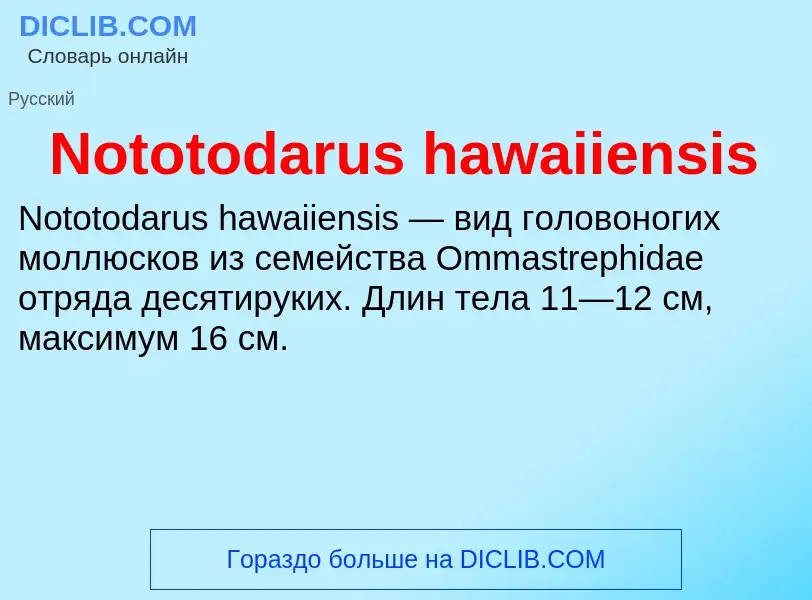 Τι είναι Nototodarus hawaiiensis - ορισμός