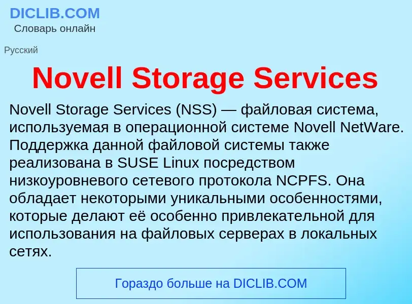 Was ist Novell Storage Services - Definition