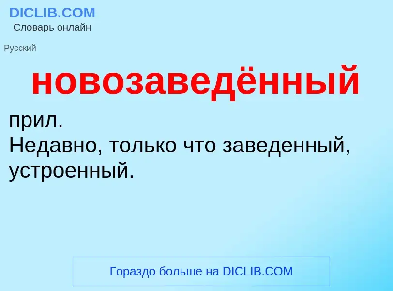 Что такое новозаведённый - определение