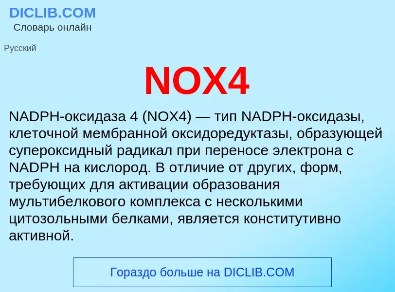 Что такое NOX4 - определение