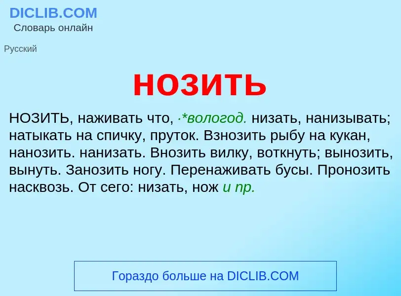 Что такое нозить - определение