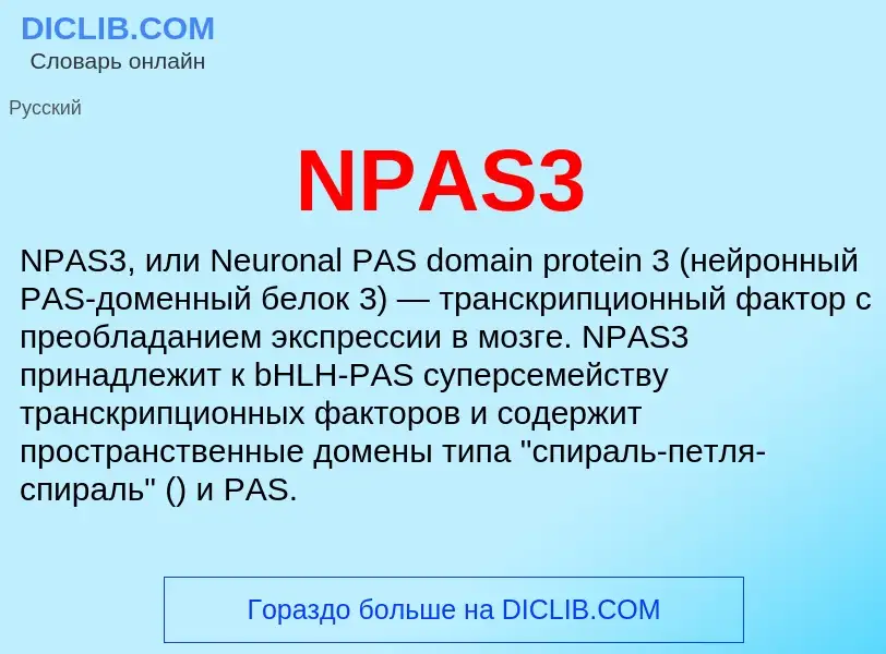 What is NPAS3 - definition