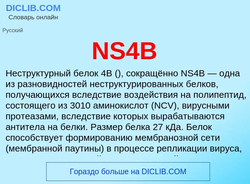 Что такое NS4B - определение