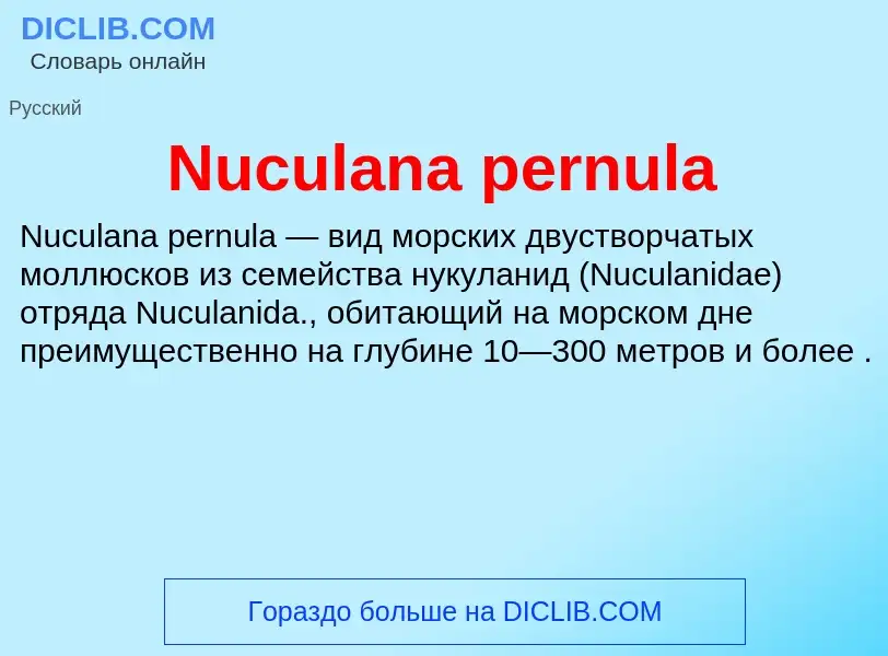 Wat is Nuculana pernula - definition