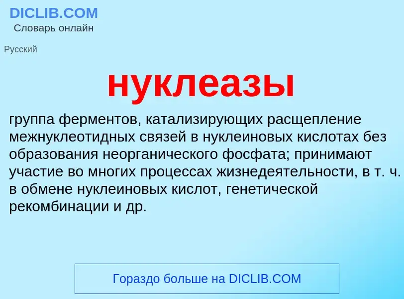 What is нуклеазы - definition